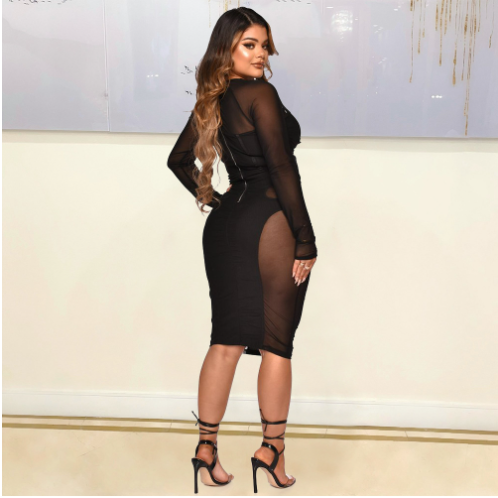 Transparent Tied Dress for Women