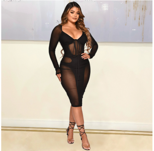 Transparent Tied Dress for Women